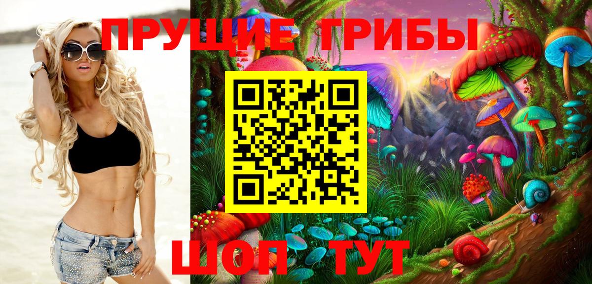 Красный Сулин  Псилоцибиновые грибы MAGIC MUSHROOMS  Вход с VPN 