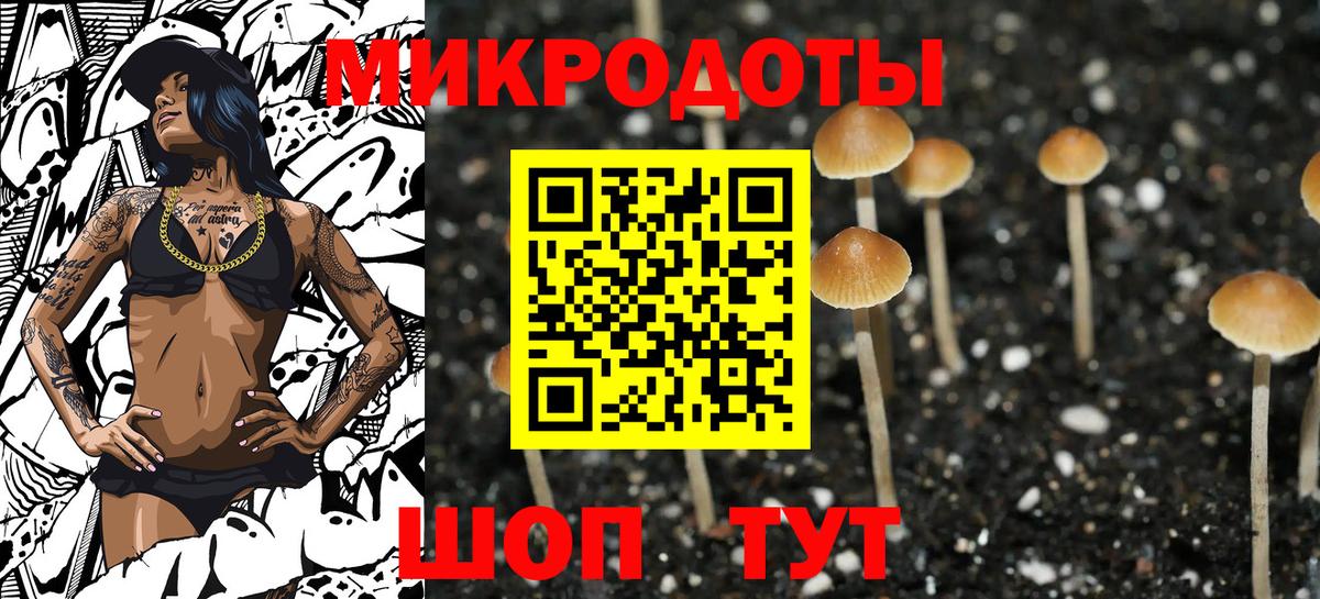 Галлюциногенные грибы прущие грибы Красный Сулин